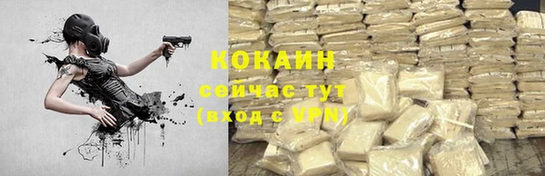 индика Осташков