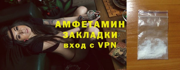 индика Осташков