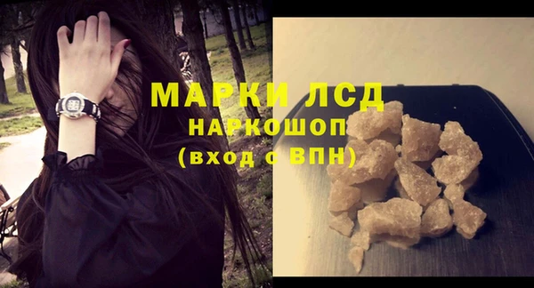 индика Осташков