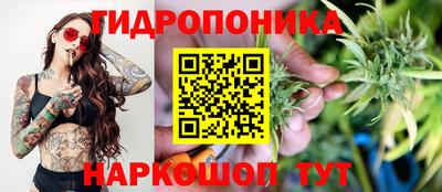 каннабис Кимры