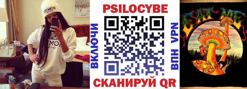 где продают   Саянск  дарк нет клад  Галлюциногенные грибы MAGIC MUSHROOMS 