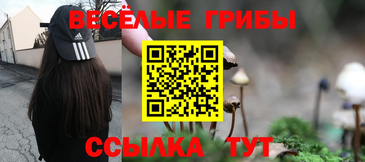 Саянск  Галлюциногенные грибы Psilocybine cubensis  где найти наркотики  Вход с VPN 